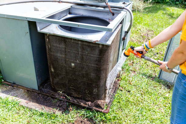 Best Air Duct Sanitizing Services  in Cedar Ridge, CA