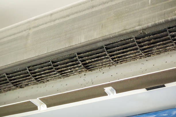 Best Home Air Vent Cleaning  in Cedar Ridge, CA